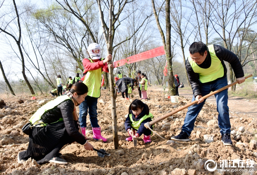 神龜回歸大IP自帶光環(huán) 龜粉推薦神龜手游