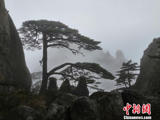 雷阿倫三分絕活集錦！- 從傳奇開始揭秘三分藝術(shù)(1)