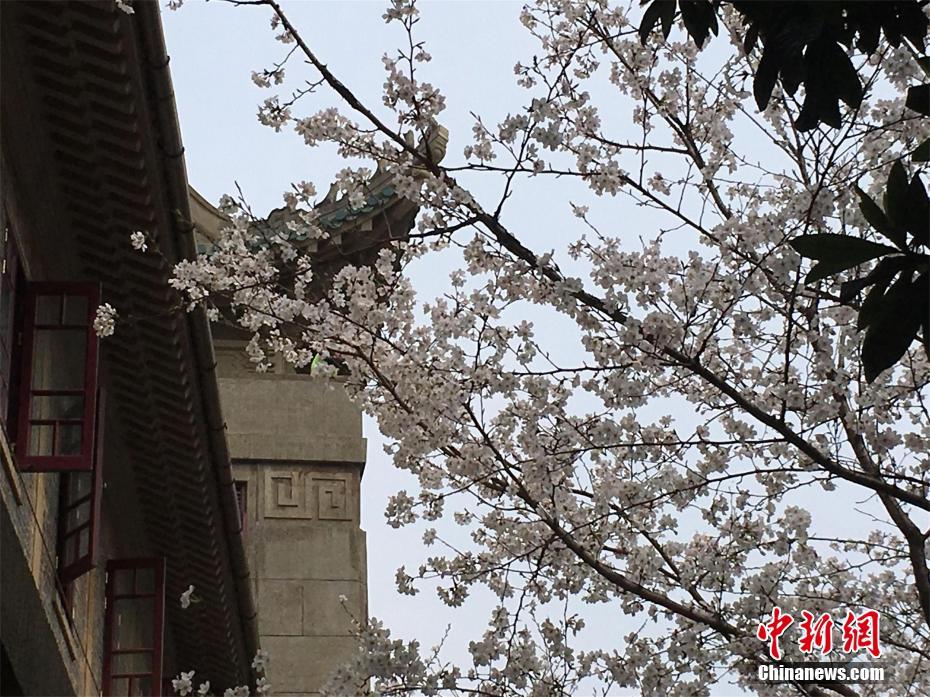 三十億方塊敞開河南前史穿越之旅 游戲助力華夏文明“圈粉”次世代