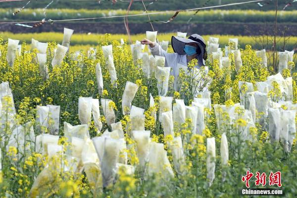 微軟開端約束免費(fèi)Hotmail帳號(hào) 以阻斷垃圾郵件