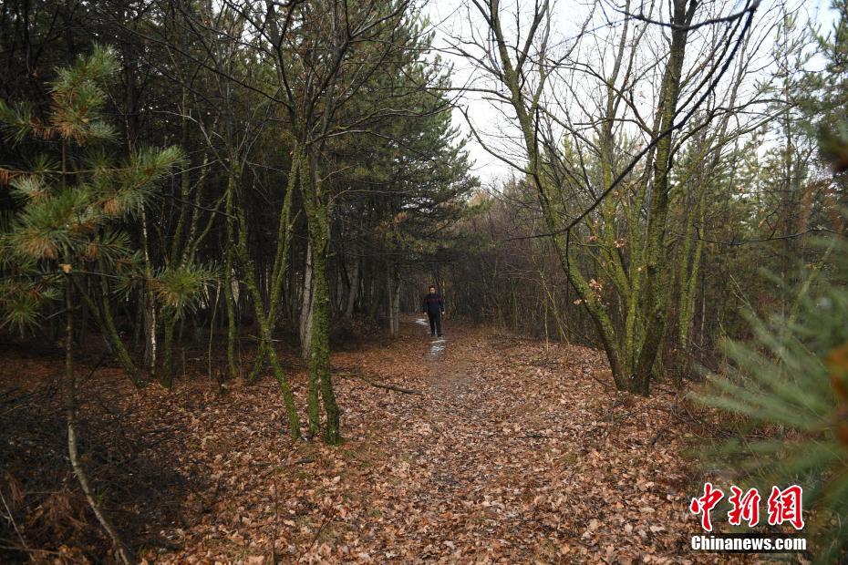 鐵打的大橋！布里奇斯全場出戰(zhàn)40分鐘 14中9貢獻24分4板6助3斷