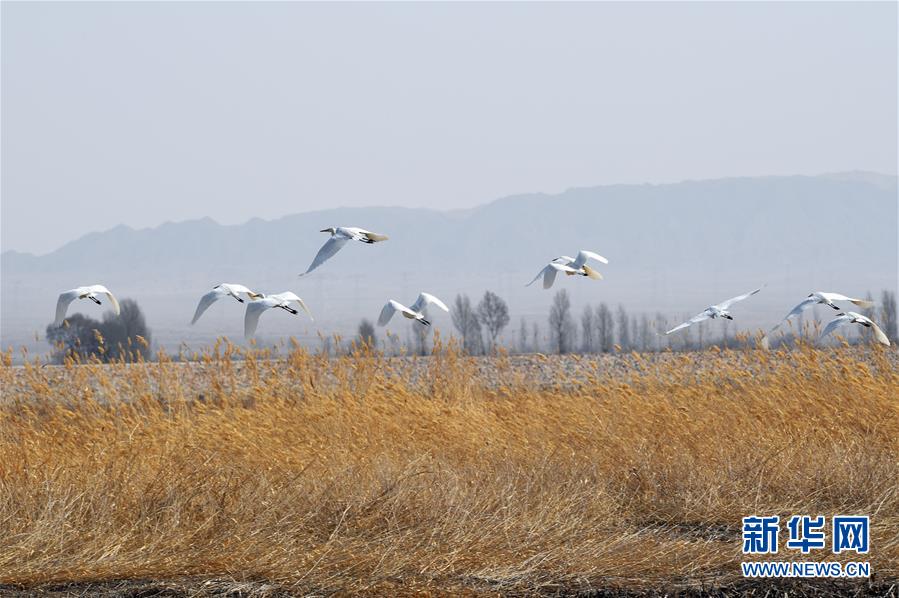 武林別傳5月3日敞開測驗：點擊收取降龍十八掌秘籍[多圖]