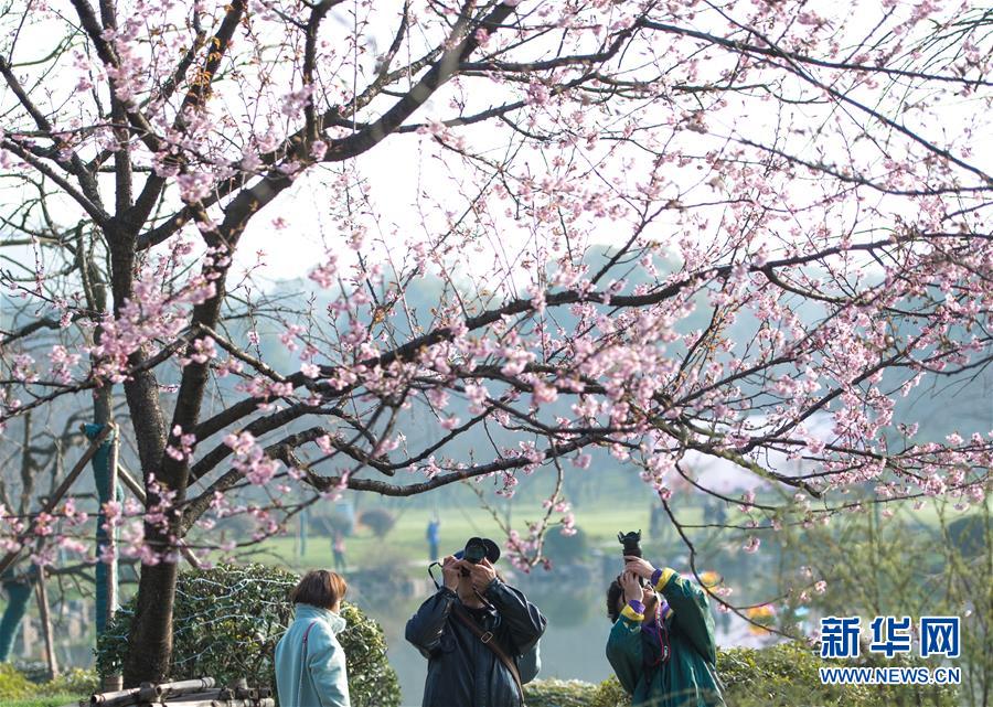 探秘羚騎至寶 《破天一劍》手游新神器曝光