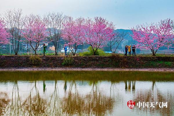 以黑養(yǎng)黑，黃小豬鮮燉八寶粥新品玄墨——黑芝麻香芋黑米粥上市