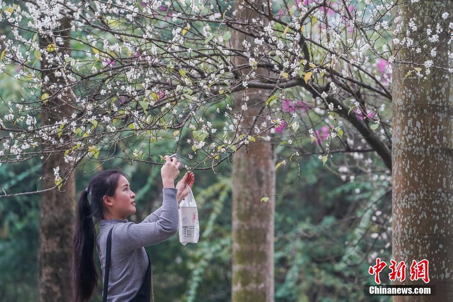 中國驕傲！恭喜女足張琳艷榮膺瑞士女超金球獎