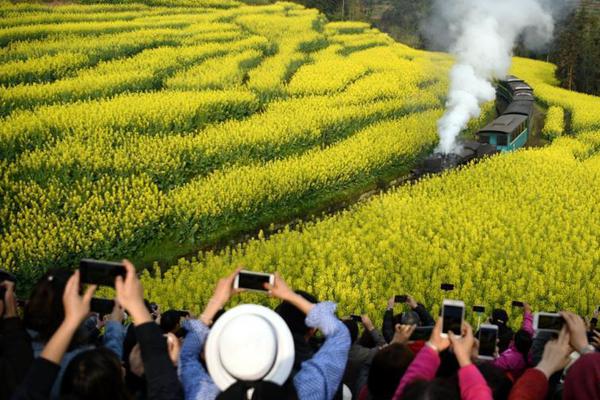 沒手感！克勞德與湖人系列賽至今三分球20投僅2中