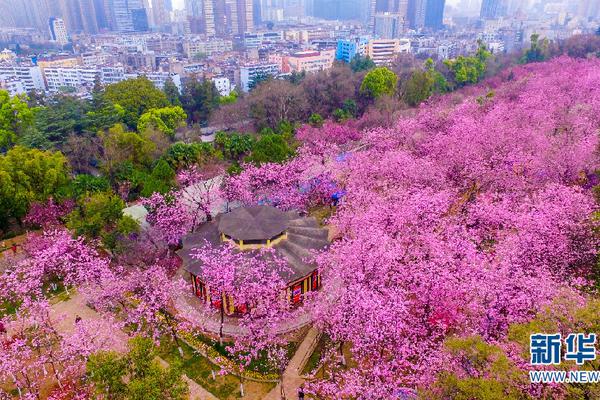 重磅更新 《我欲封天》新資料片蓋世宗門上線