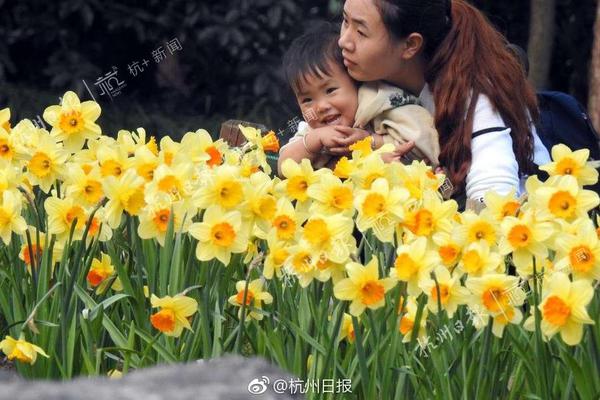 安東尼：選秀前以為要前往活塞 曾暢想我和老詹是新的大鳥&魔術(shù)師