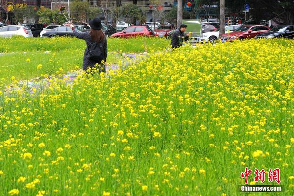 《光與夜之戀》迷路陰影限時活動行將敞開