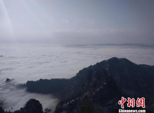 震動！數(shù)百花季少女逆向整形只為獲得我國綠卡