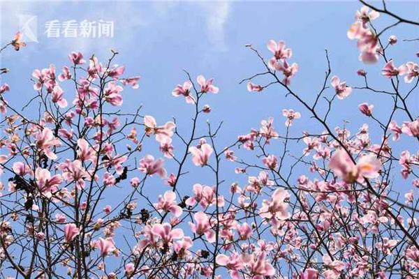 b365芯片組怎么樣 b365主板和b360有什么區(qū)別