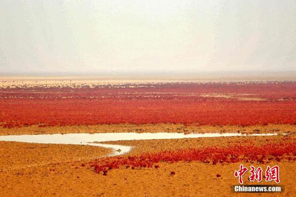 世預(yù)賽歐洲區(qū)附加賽抽簽(歐洲區(qū)世預(yù)賽意大利)