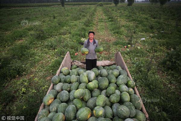 德國開發(fā)新技術(shù) 可實時從視頻中消除物體