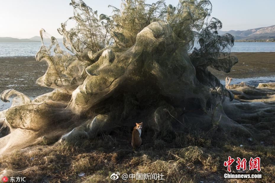 電視劇同名手游《蘭陵王妃》今日首發(fā)