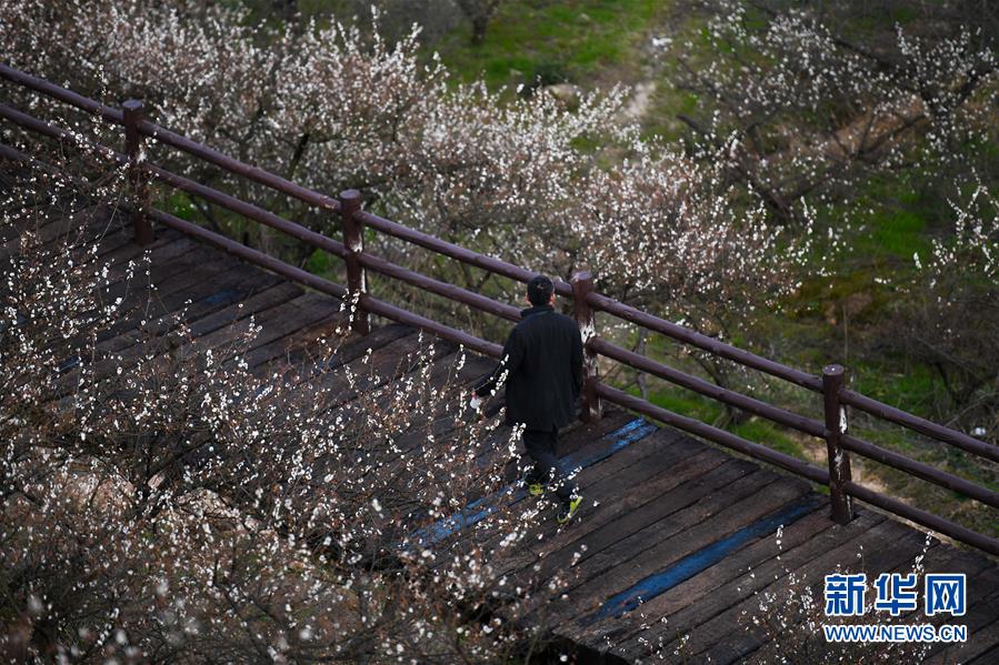 庫里：我認(rèn)為我才25歲左右 對狀態(tài)下滑不擔(dān)心