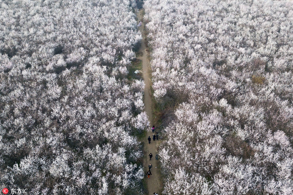 探索迷霧鬼鎮(zhèn) 《探墓風(fēng)云》新世界地圖解析