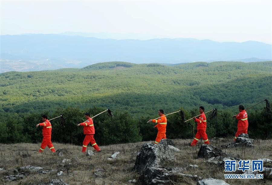 毛毅軍回應(yīng)申花申述：與足協(xié)正常的溝通和申述