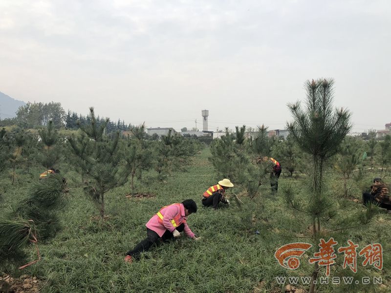 “黑木馬”病毒搗亂局域網(wǎng) 會將反病毒軟件封閉