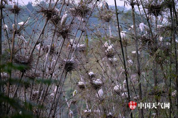 《天龍八部手游》今日龍騰公測(cè) 再現(xiàn)百態(tài)江湖