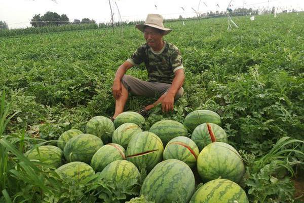 突破遺骸！《誓約之劍》20人團(tuán)隊(duì)?wèi)?zhàn)打響