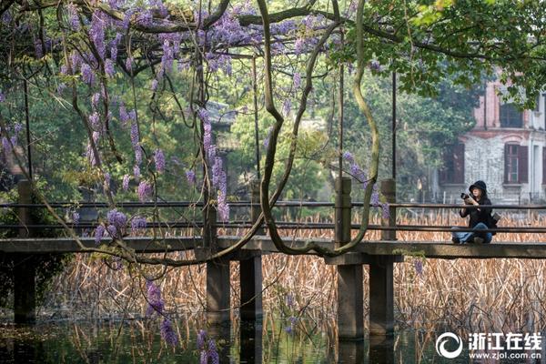 國足大勝關島引發(fā)關注，我國正式開始新征程