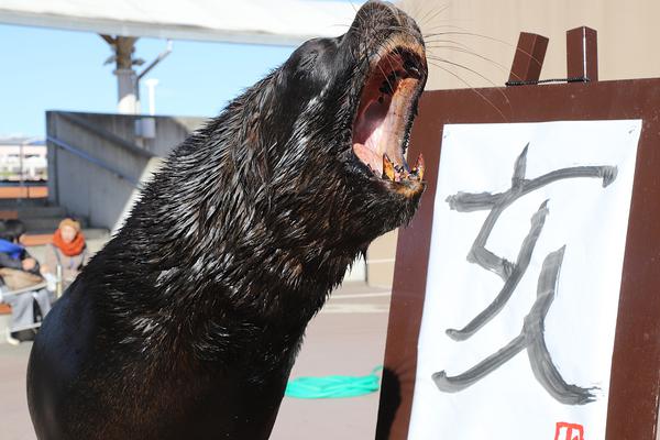 XP體系真實急速葉落歸根技巧 免進度條畫面