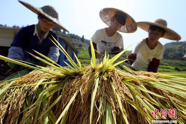 拉塞爾在今天的比賽總22投11中拿下31分3板7助4斷