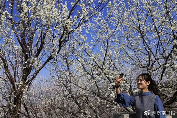 羅馬諾：孔蒂賽季閉幕考慮自己的去向 熱刺3700萬歐+球員再報價波羅