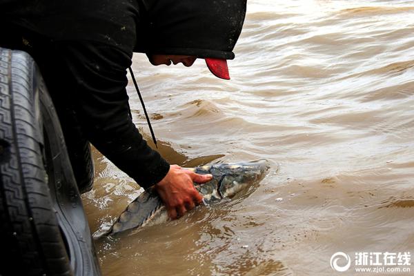 原神雷鳴仙多久改寫？雷鳴仙方位及魚餌配方共享[多圖]