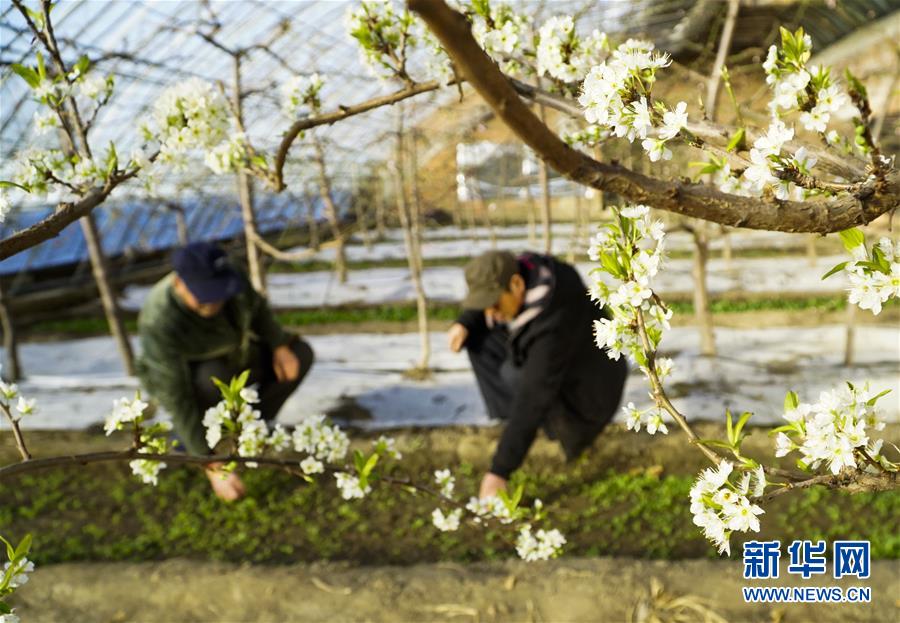 美圖秀秀2.4.8正式版新增影樓特效和優(yōu)化相片拼接功用