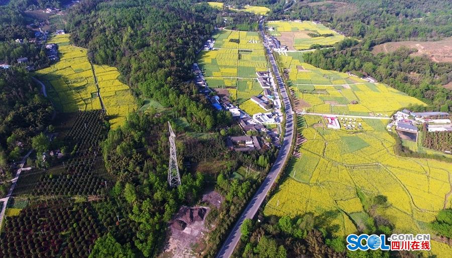 夢(mèng)回西游 《仙靈外傳》仙緣測(cè)試今日燃情開啟