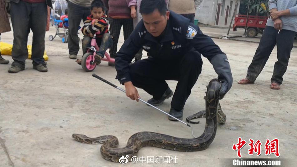 《全職獵手》金幣樂園 做采蘑菇的小獵手