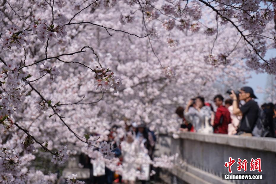 東京奧運會體操(東京奧運會體操規(guī)則)