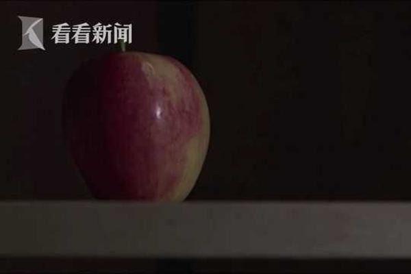 開元旗牌app下載