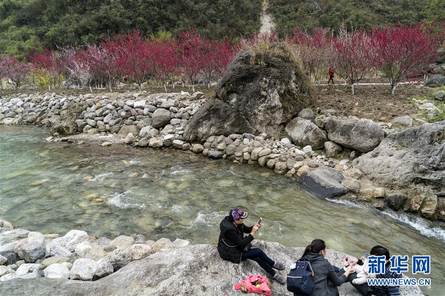 麻將胡了官方網(wǎng)站入口