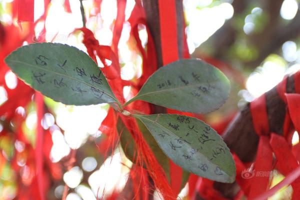 12月13日安卓首發(fā) 《靈妖記》特權(quán)活動(dòng)搶先看