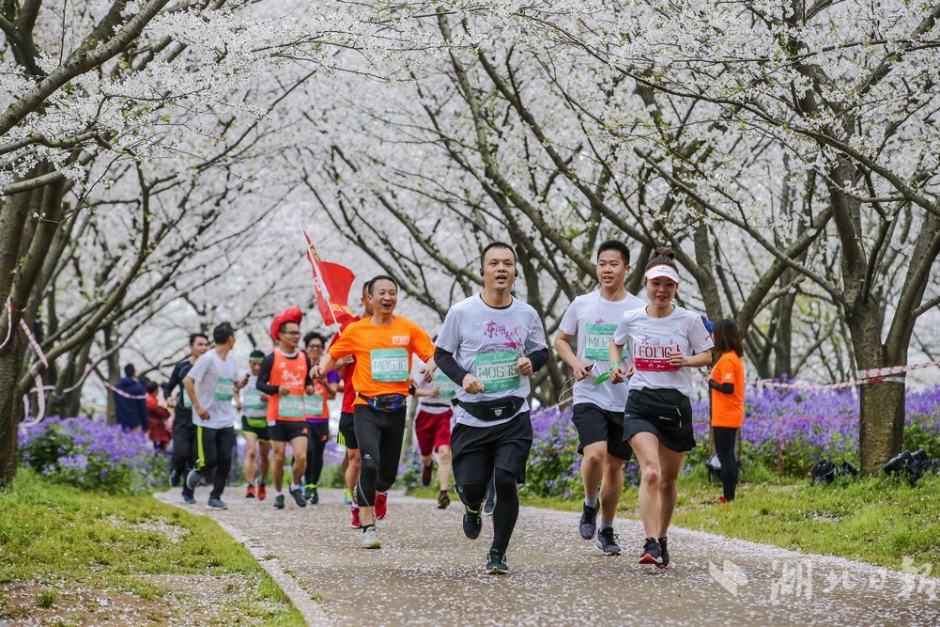 東京奧運會子排球比賽 - 推動排運動的發(fā)展