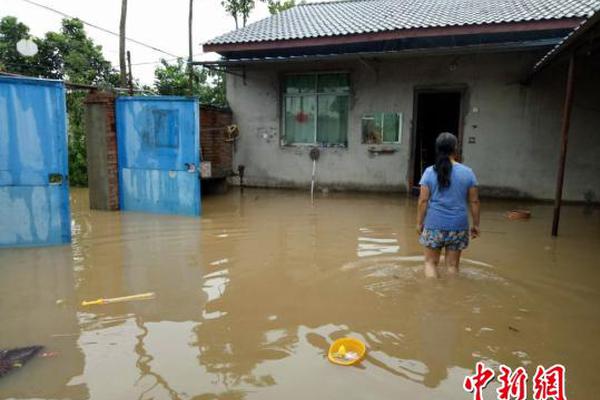 詳解用VB編寫病毒代碼的思路(讓您了解這些病毒是怎么發(fā)生的)