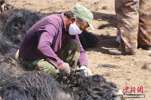 慘烈一戰(zhàn)！ 勇士兩人傷退 莫蘭特砍下47+8率隊將比分扳平