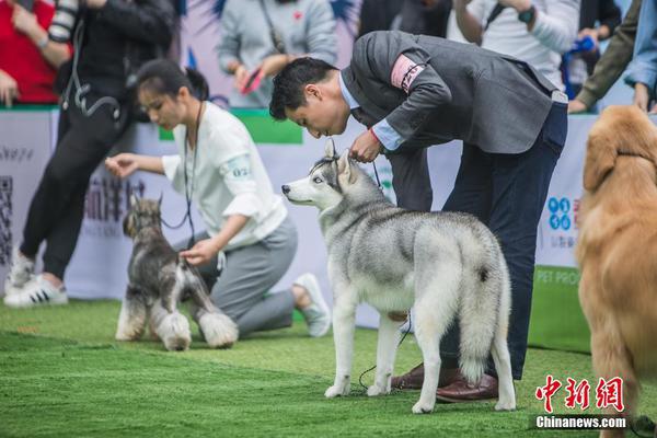 2014年雙11淘寶銷售額及排行榜