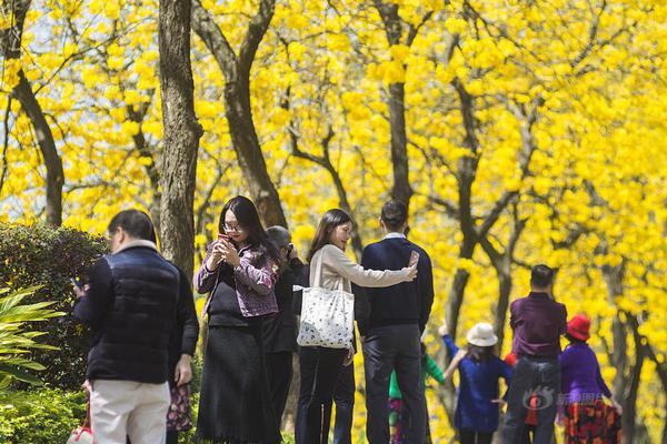 聽多了會懷孕《桃花源記》手游萌妹上麥撩漢