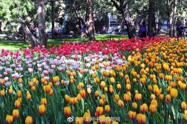 神威?世 《掃蕩三國》合體神技玩法